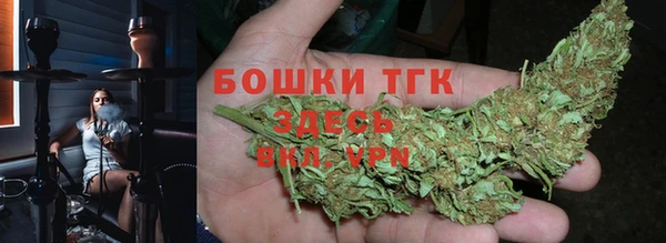 мдпв Бронницы