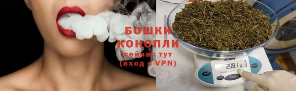 мдпв Бронницы