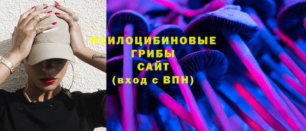мдпв Бронницы